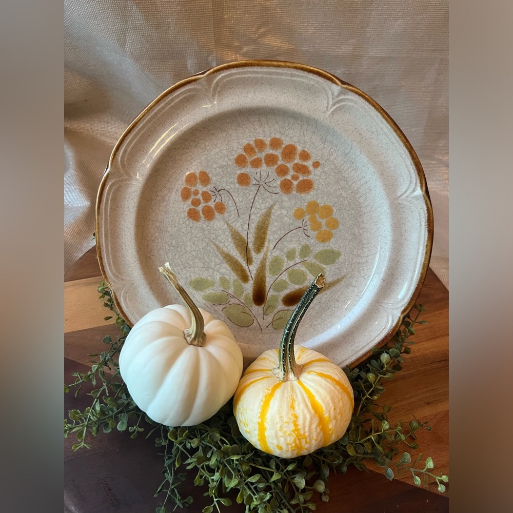 (1) VTG Hearthside Somerset stoneware plate